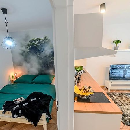 Apartamenty Swietokrzyska Lešno Exteriér fotografie